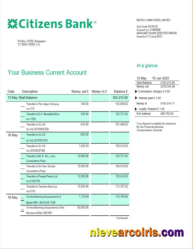 Premium Citizens Bank Firm Statement Word And PDF Template