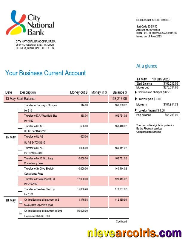 Premium City National Bank Of Florida Firm Account Statement Word And PDF Template