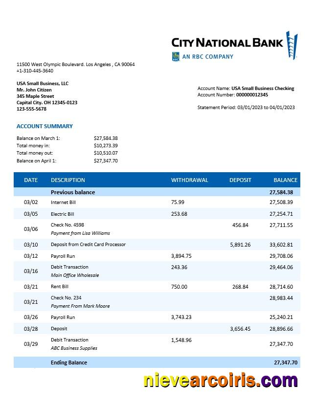 Professional City National Bank Organization Statement Word And PDF Template