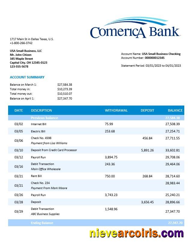 Professional Comerica Bank Business Statement Word And PDF Template