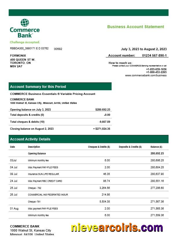Professional Commerce Bank Firm Account Statement Word And PDF Template