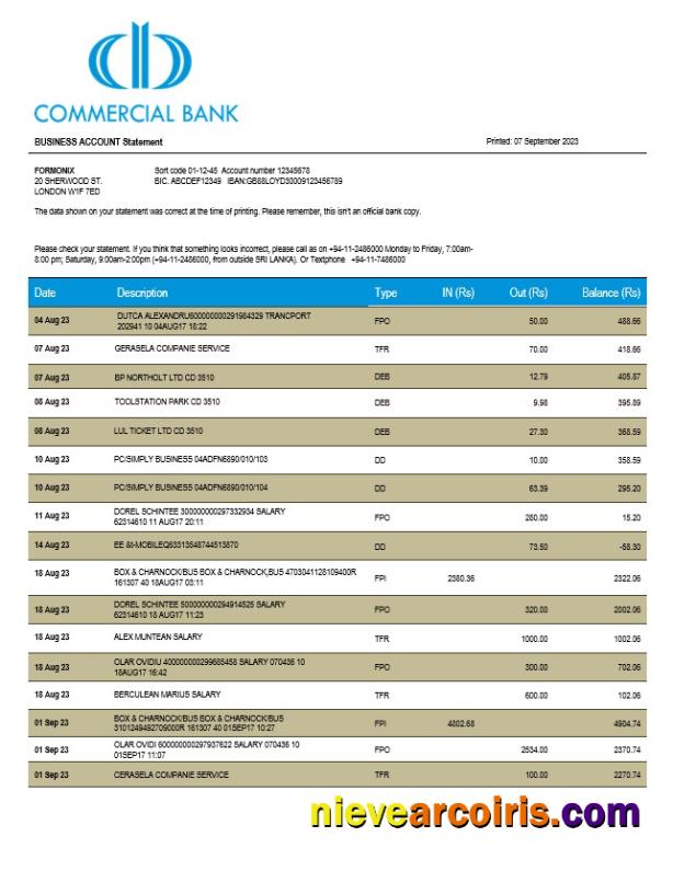 Realistic Commercial Bank Firm Statement Word And PDF Template