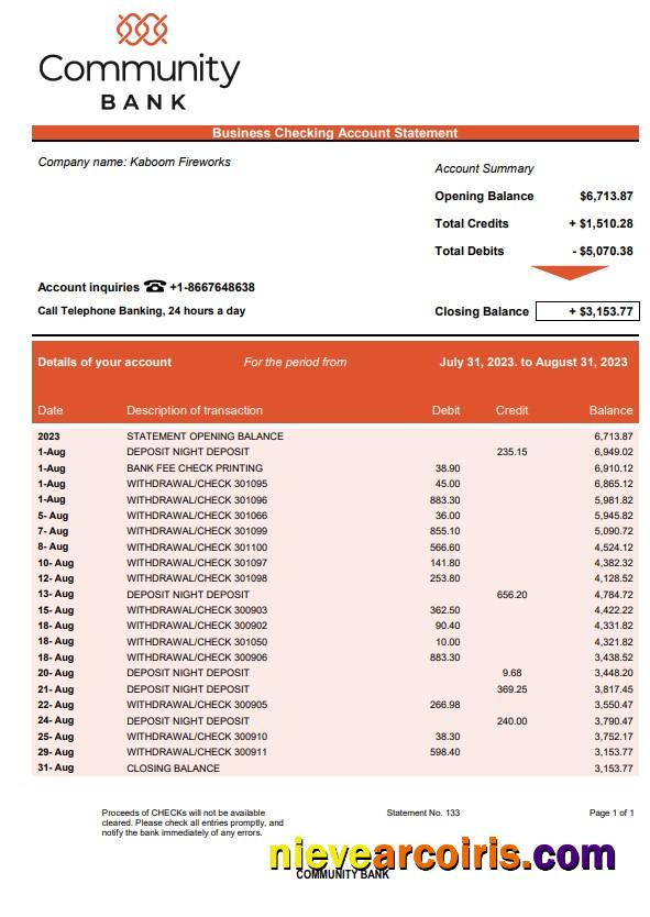 Realistic Community Bank Business Statement Word And PDF Template