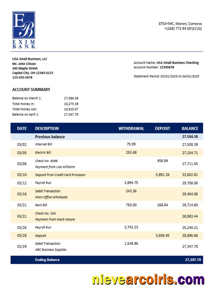 Comoran Exim Bank Enterprise Account Statement Word And PDF Format Sample