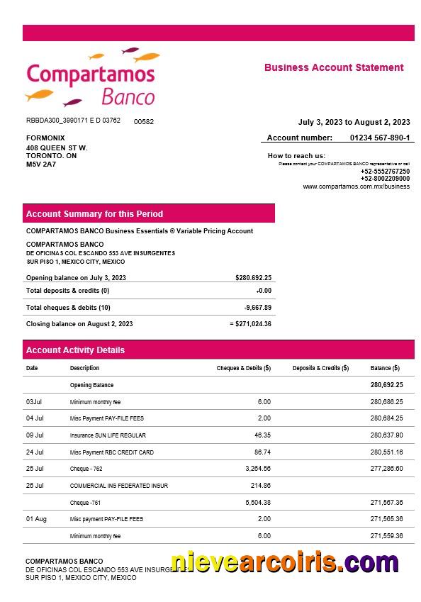 Realistic Compartamos Banco Organization Account Statement Word And PDF Template