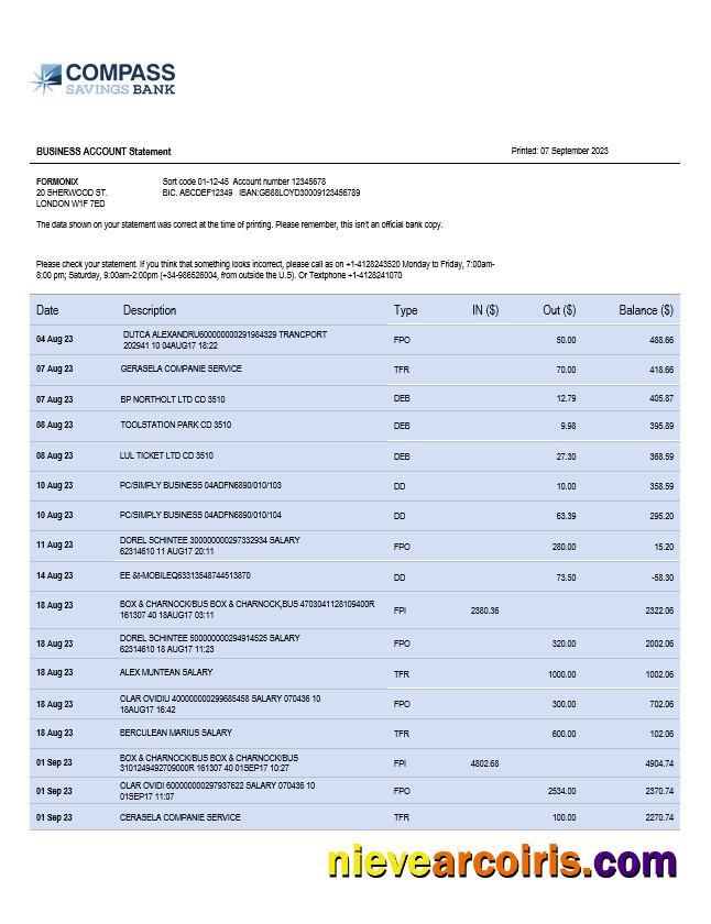 Realistic Compass Bank Enterprise Account Statement Word And PDF Template