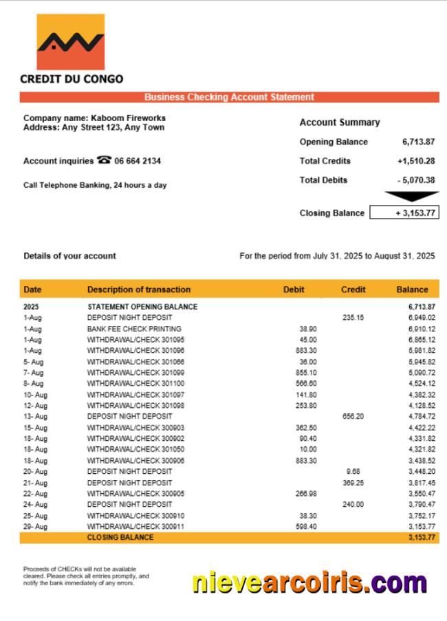 Realistic Congo Credit Du Congo Bank Business Account Statement Word And PDF Template