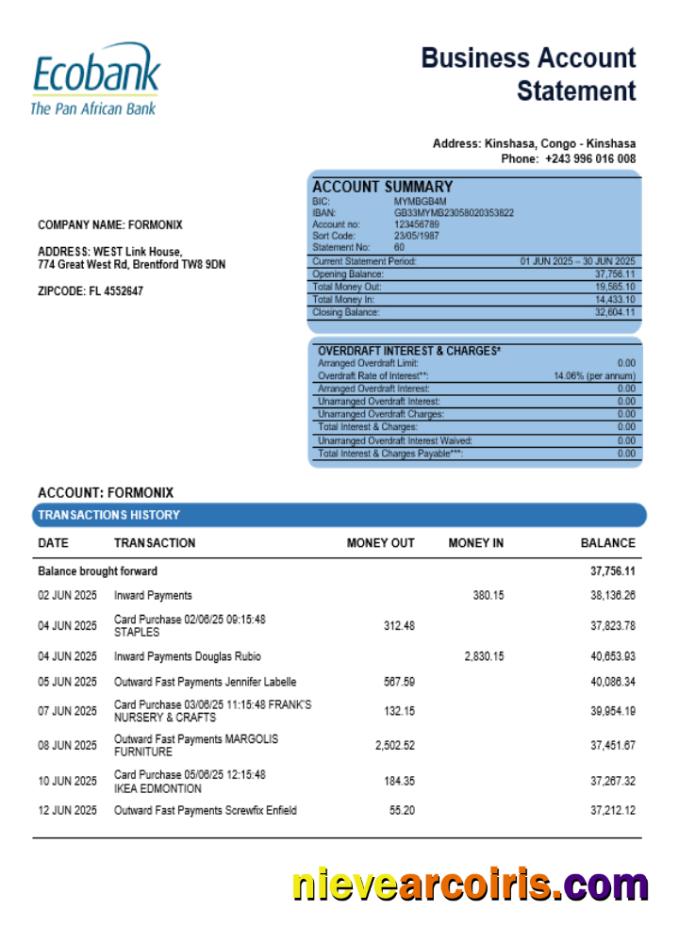 Premium Congo Ecobank Firm Account Statement Word And PDF Template