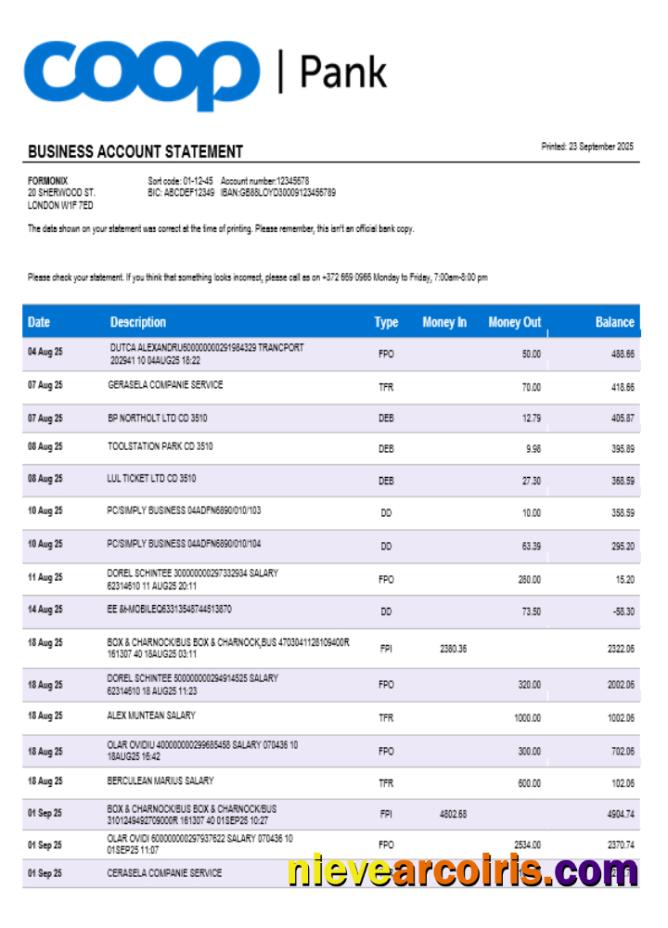 Professional Coop Pank Company Checking Account Statement Word And PDF Template