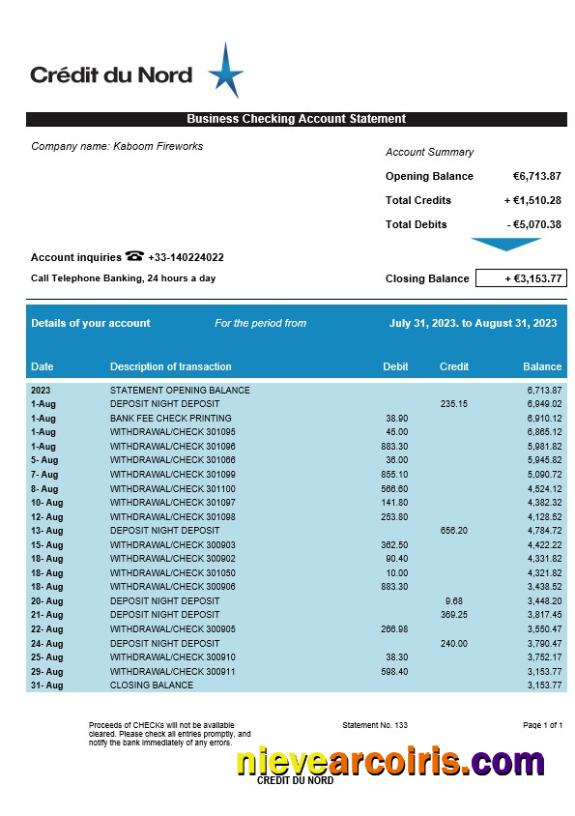 Premium Crédit Du Nord Enterprise Account Statement Word And PDF Template