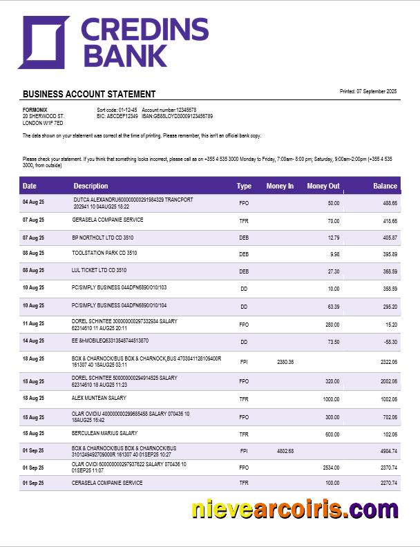 Editable Credins Enterprise Account Statement Word And PDF Template