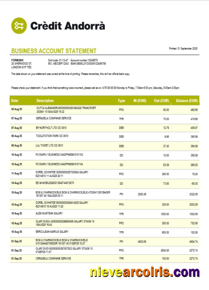 Premium Credit Andorran Bank Business Statement Word And PDF Template