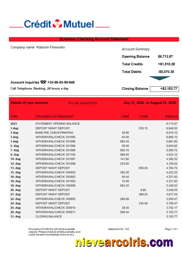 Professional Credit Mutuel Bank Firm Account Statement Word And PDF Template