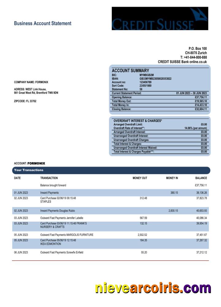 Editable Credit Suisse Bank Corporate Account Statement Word And PDF Template