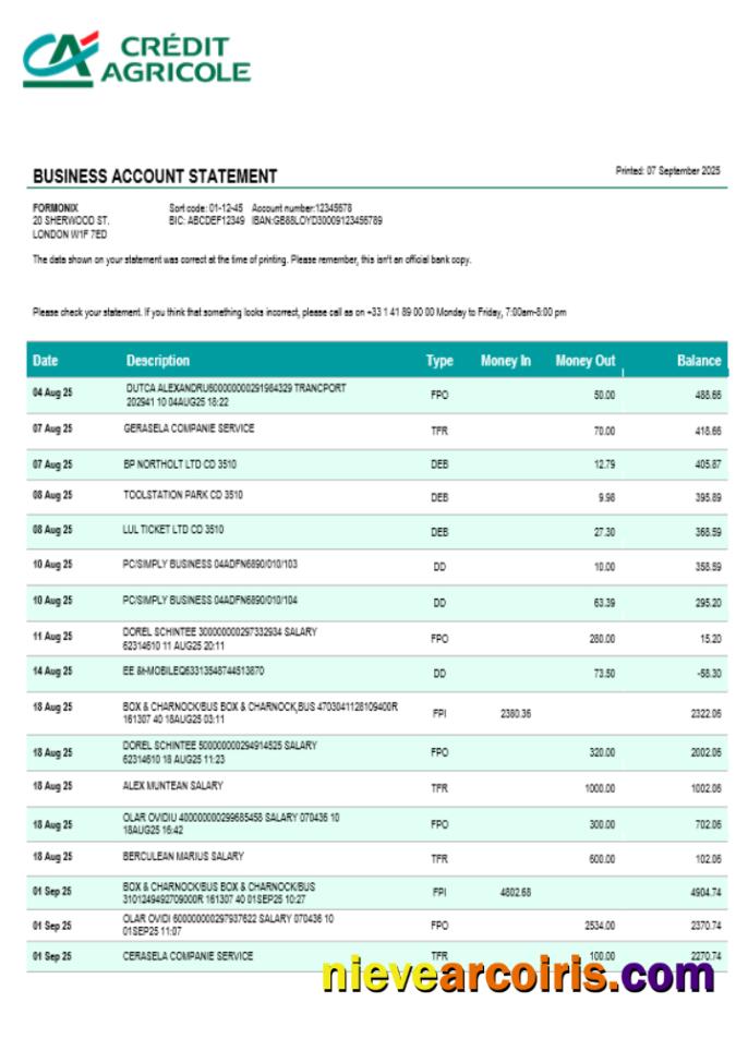 Editable Credite Agricole Company Checking Account Statement Word And PDF Template