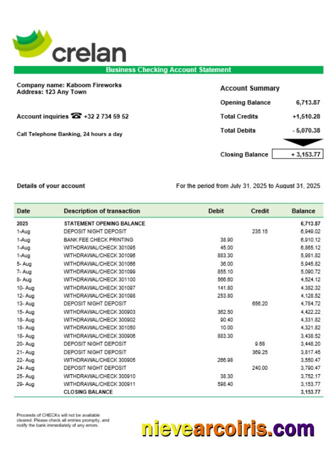 Crelan Bank Company Checking Account Statement Word And PDF Format Preview