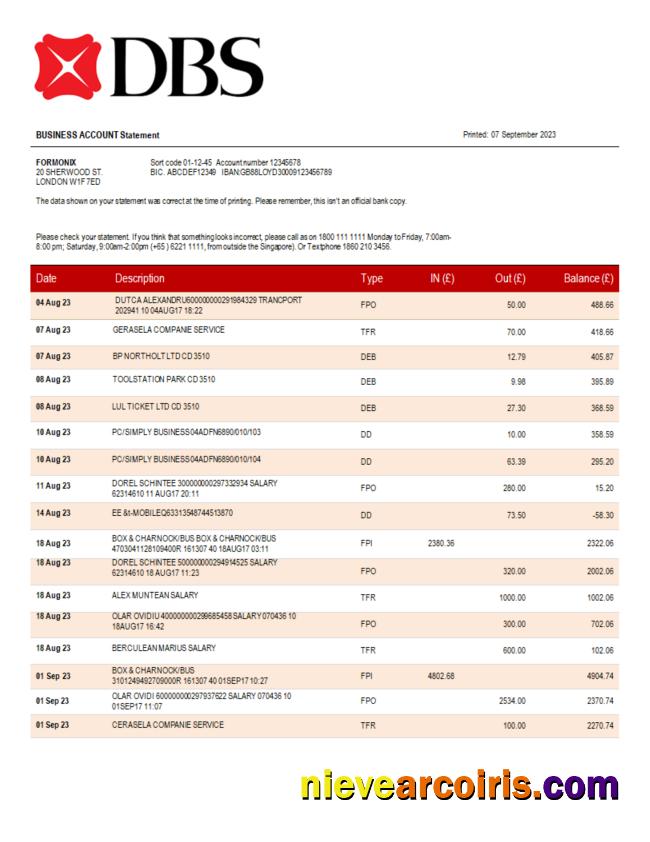 Realistic DBS Bank Organization Checking Account Statement Word And PDF Template