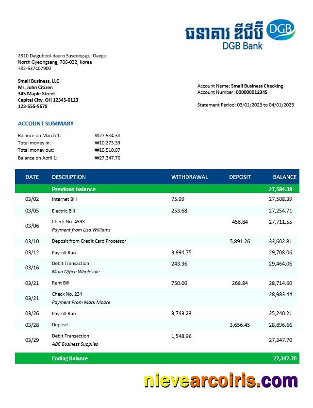 Professional DGB Financial Group Business Bank Statement Word And PDF Template