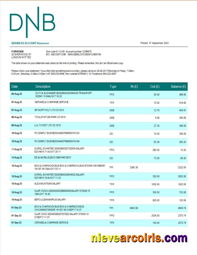 Professional DNB Bank Firm Account Statement Word And PDF Template
