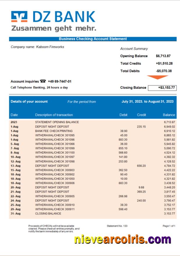 Editable DZ Bank Organization Statement Word And PDF Template