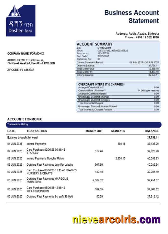 Dashen Bank Company Statement Word And PDF Format Template