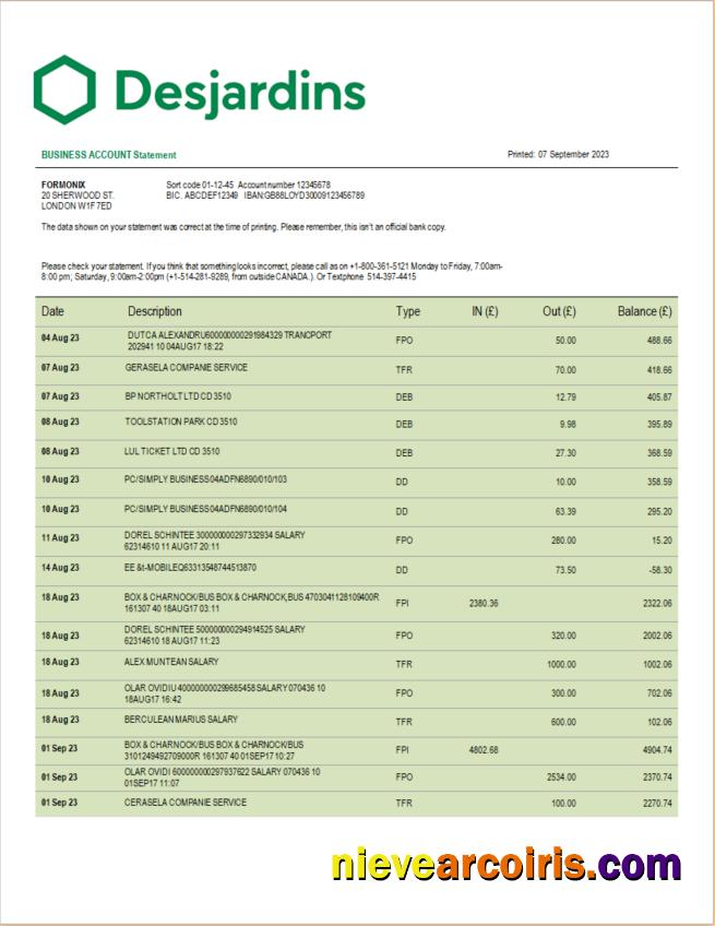 Premium Desjardins Bank Corporate Checking Account Statement Word And PDF Template
