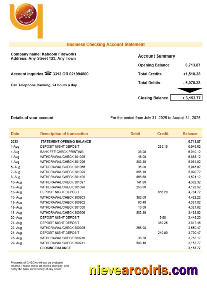 Professional Druk PNB Bank Firm Account Statement Word And PDF Template