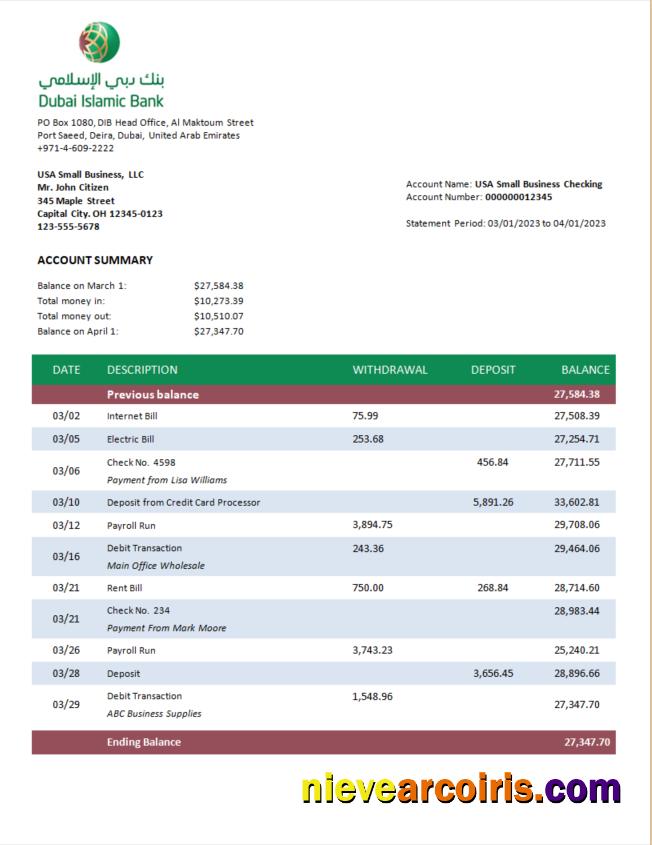 Premium Dubai Islamic Bank Enterprise Statement Word And PDF Template