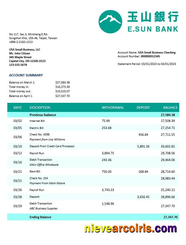 Realistic E.SUN Commercial Bank Business Statement Word And PDF Template