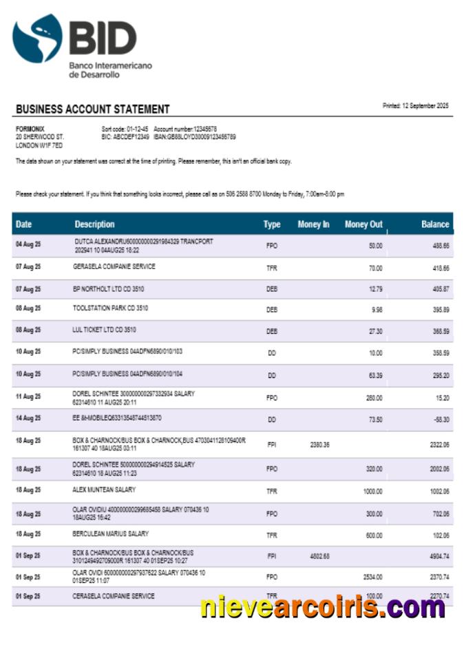 Ecuador Banco Interamericano De Desarrollo (BID) Firm Account Statement Word And PDF Format Preview