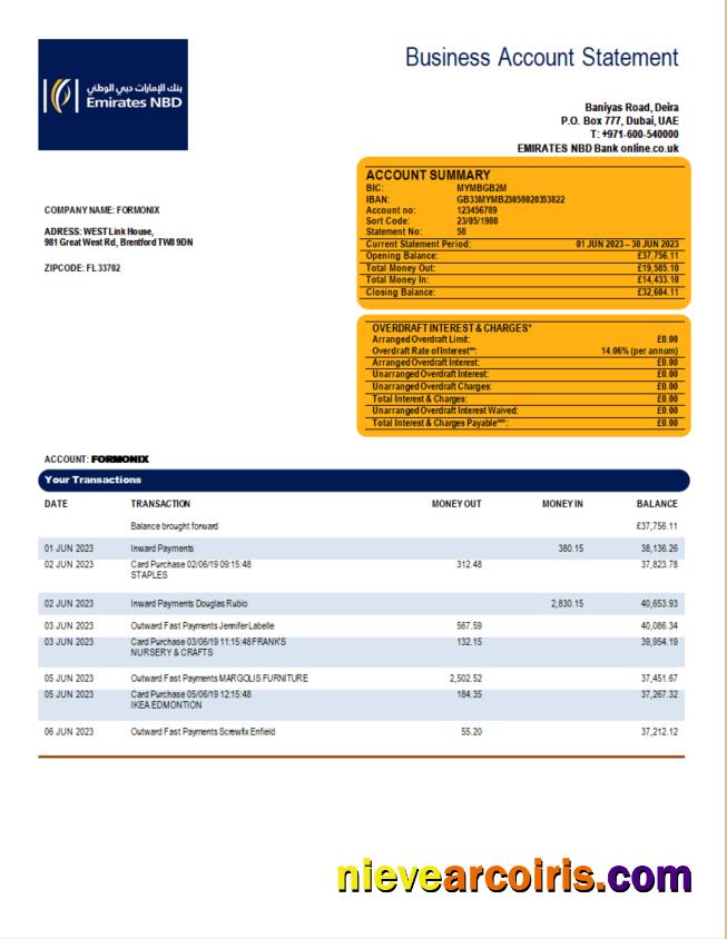 Premium Emirates NBD Bank Organization Statement Word And PDF Template