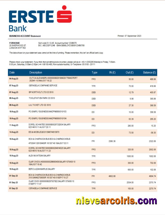 Realistic Erste Bank Firm Checking Account Statement Word And PDF Template
