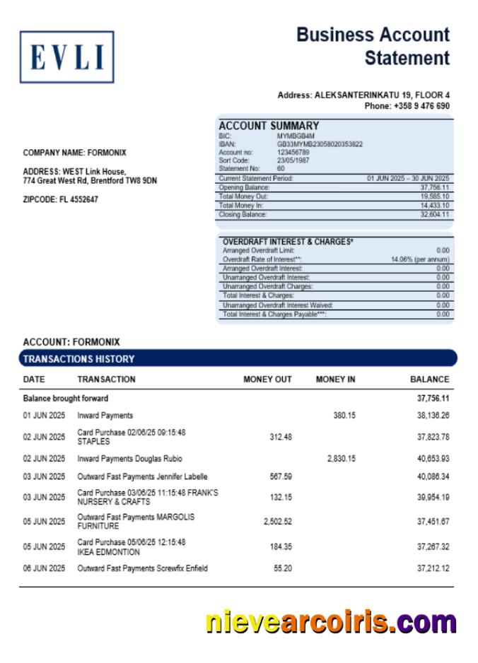 Realistic Evli Bank PLC Enterprise Account Statement Word And PDF Template