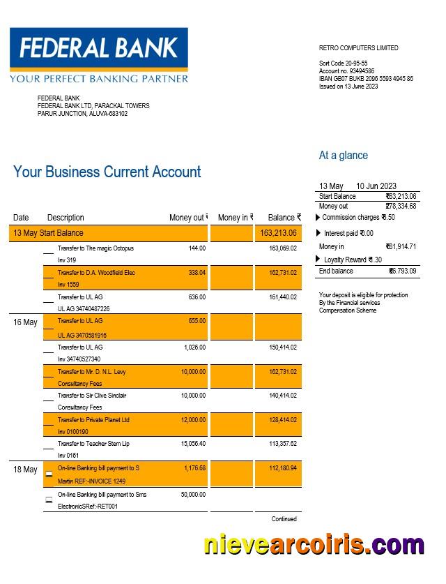Realistic Federal Bank Company Account Statement Word And PDF Template