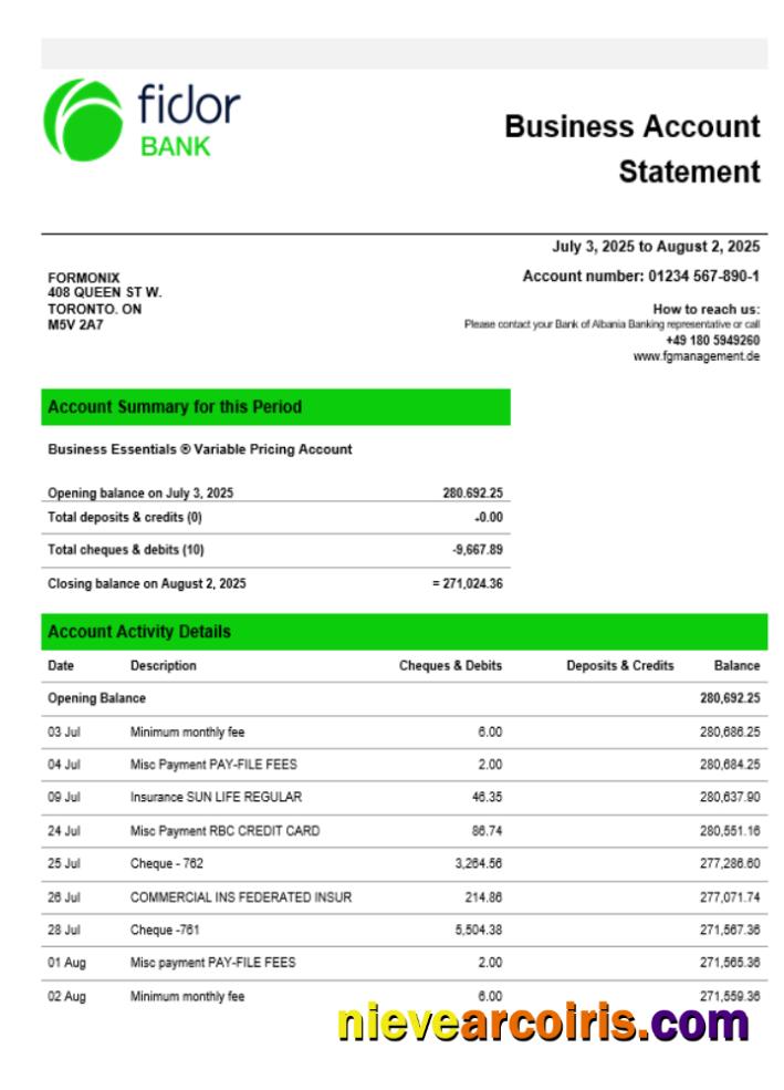 Fidor Bank Business Firm Account Statement Word Snd PDF Format Sample