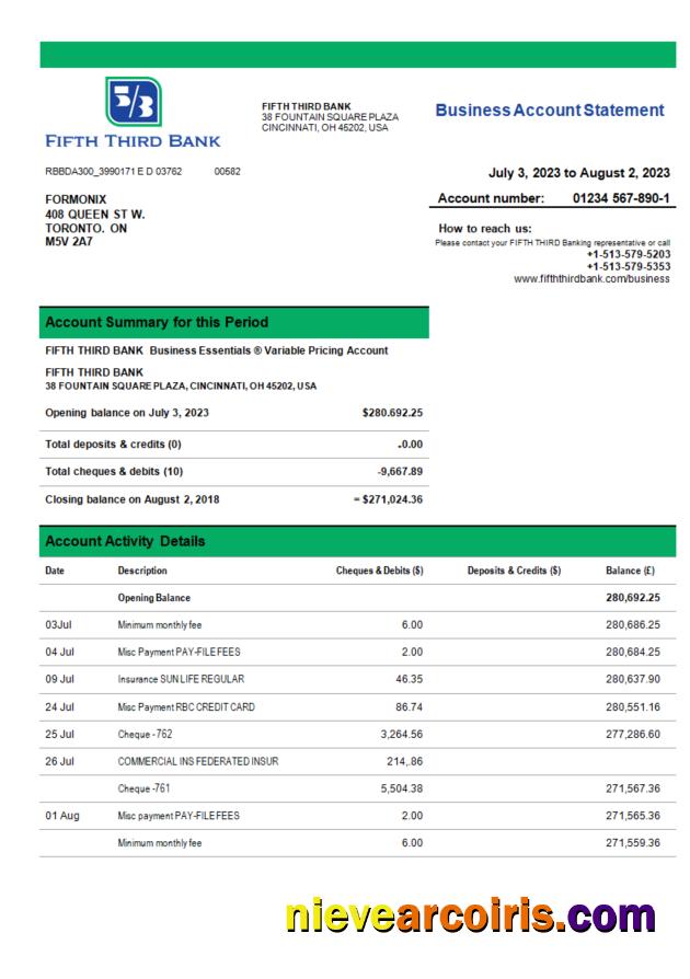 Premium Fifth Third Bank Business Bank Statement Word And PDF Template