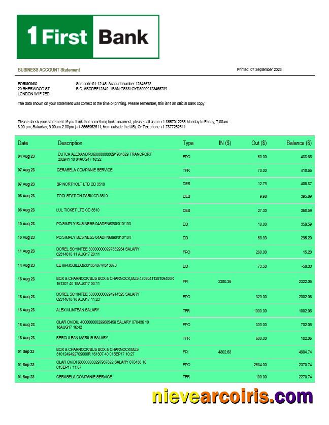 Realistic First Bancorp Bank Business Statement Word And PDF Template