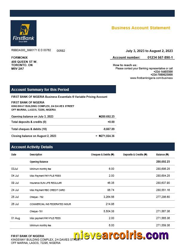 Realistic First Bank Of Nigeria Firm Account Statement Word And PDF Template