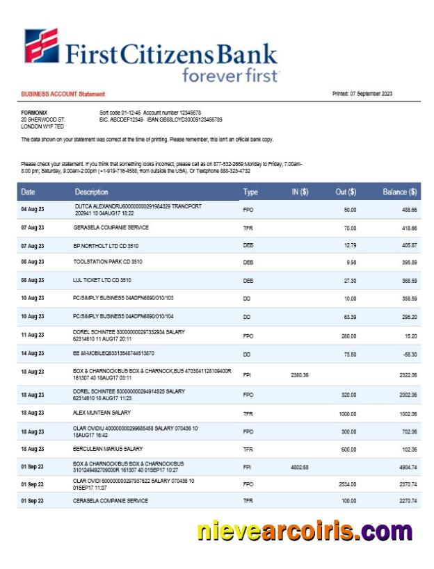 Editable First Citizens Bank Business Statement Word And PDF Template