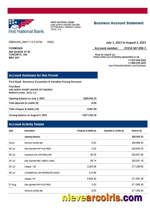 Professional First National Bank Firm Statement Word And PDF Template