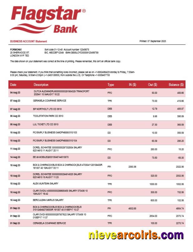 Realistic Flagstar Bank Organization Account Statement Word And PDF Template