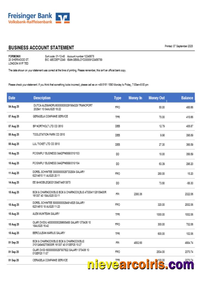 Freisinger Bank Account Business Statement Word And PDF Format Sample