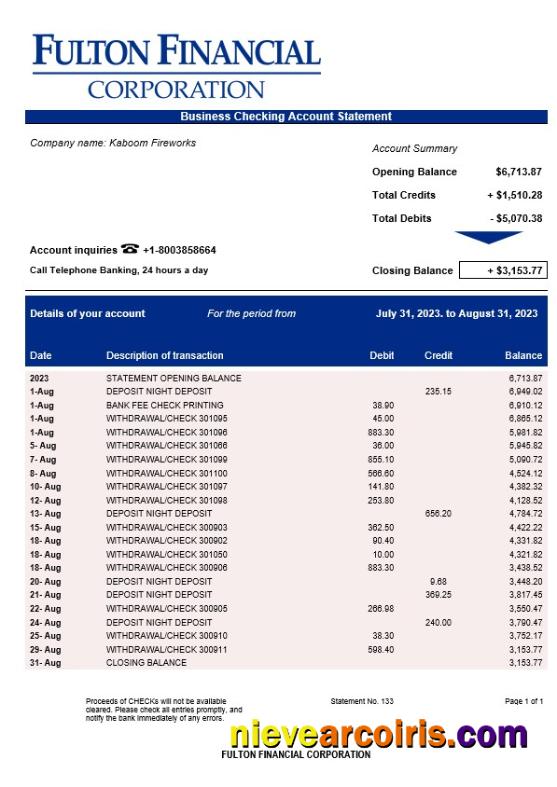 Realistic Fulton Financial Corporation Enterprise Account Statement Word And PDF Template