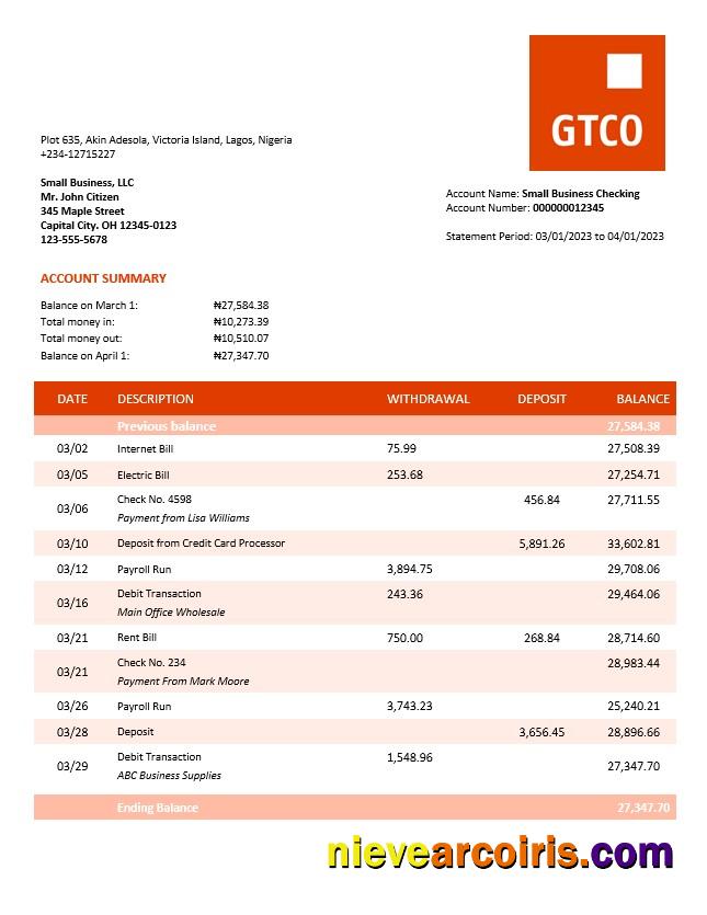Realistic GT Bank Organization Checking Account Statement Word And PDF Template