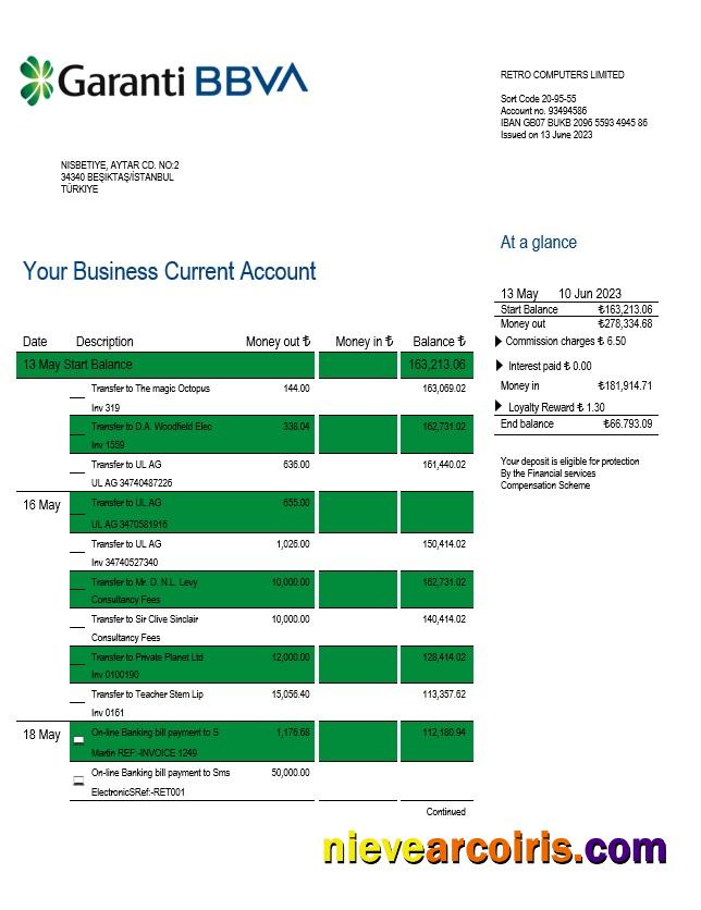 Editable Garanti BBVA Bank Enterprise Statement Word And PDF Template