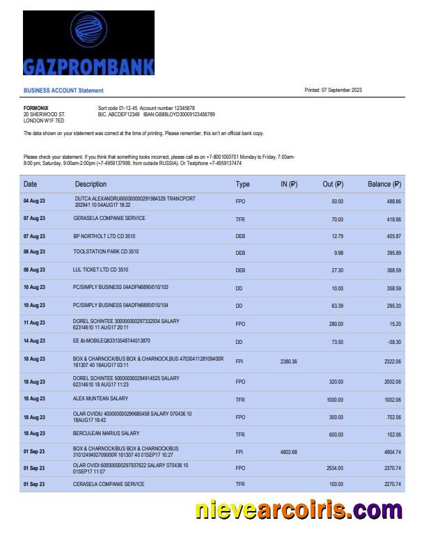 Premium Gazprombank Firm Account Statement Word And PDF Template