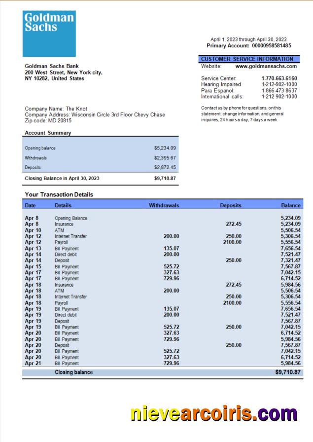 Premium Goldman Sachs Bank Organization Account Statement Word And PDF Template