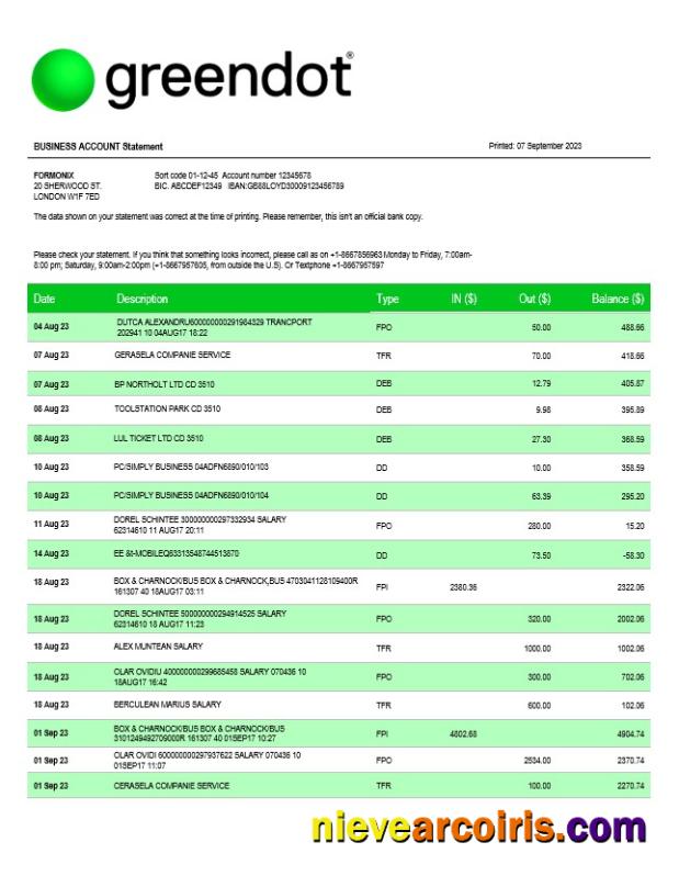 Realistic Green Dot Bank Business Checking Account Statement Word And PDF Template