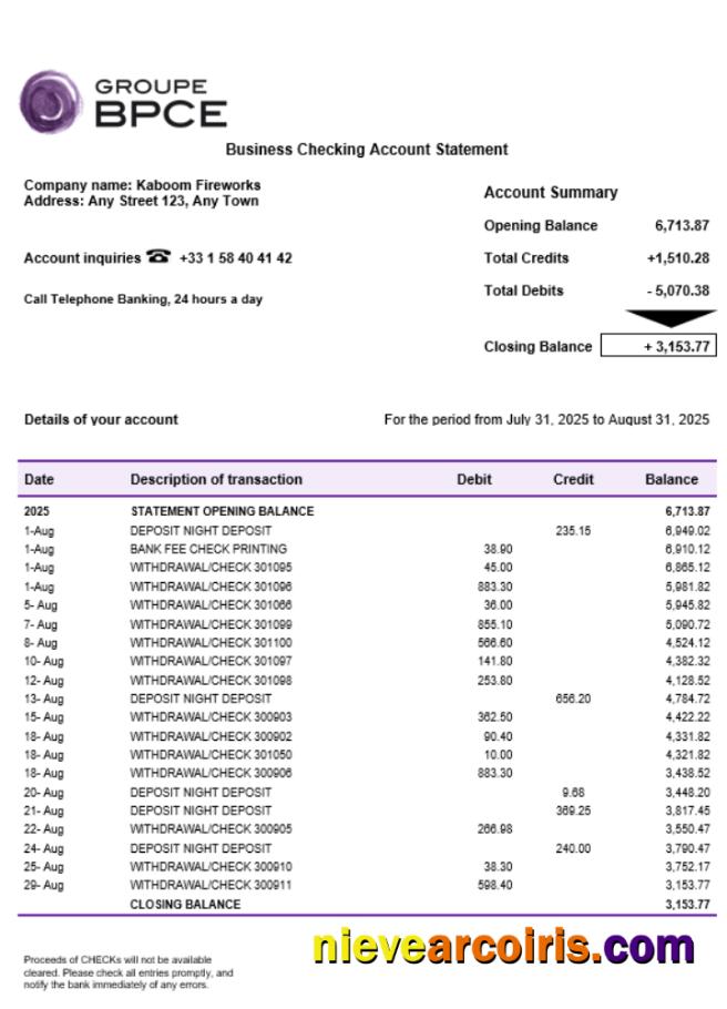 Groupe BPCE Bank Account Business Statement Word And PDF Format Template
