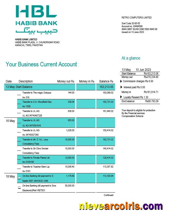 Realistic HBL Bank Firm Account Statement Word And PDF Template